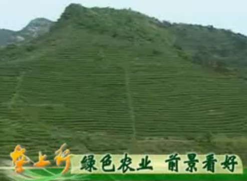 垄上行-绿色农业 前景看好
